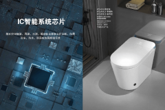 <b>成功地正在高端室第市场树立了领跑者的形</b>