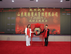 东国港贸易办理无限公司成功挂牌